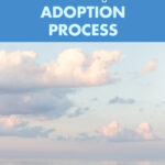 9 Questions to Ask Before Starting the Adoption Process