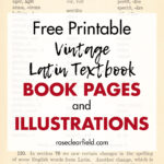 Free Printable Vintage Latin Textbook Book Pages and Illustrations