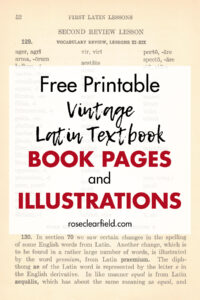 Free Printable Vintage Latin Textbook Book Pages and Illustrations