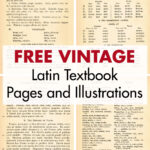 Free Vintage Latin Textbook Pages and Illustrations