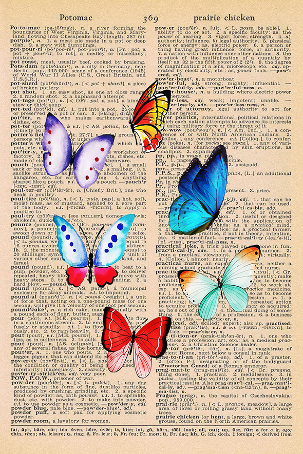 Summer Dictionary Page Printable Butterflies