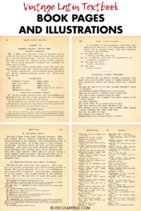 Vintage Latin Textbook Book Pages and Illustrations