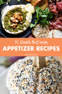 30 Quick Autumn Appetizer Recipes