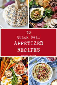 30 Quick Fall Appetizer Recipes