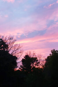 Pastel Sunset