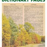A Collection of 12 Free Printable Autumn Colors Dictionary Pages