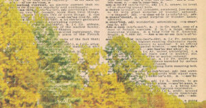 Autumn Colors Dictionary Pages