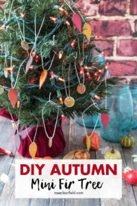 DIY Autumn Mini Fir Tree