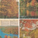 Free Autumn Colors Dictionary Page Printables Four Photo Collage