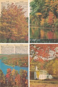 Free Autumn Colors Dictionary Page Printables Four Photo Collage