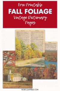 Free Printable Fall Foliage Vintage Dictionary Pages