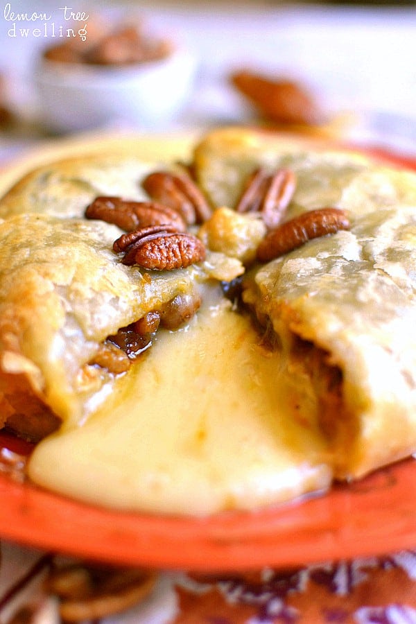 Pumpkin Pecan Baked Brie Lemon Tree Dwelling