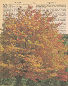 Vintage Dictionary I Page Fall Scene 8x10