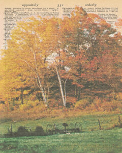 Vintage Dictionary O Page Fall Scene 8x10