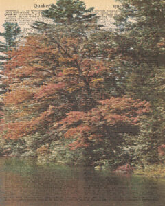 Vintage Dictionary Q Page Fall Scene 8x10