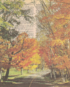 Vintage Dictionary S Page Fall Scene 8x10