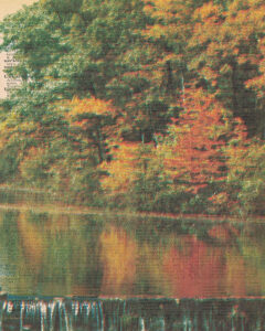 Vintage Dictionary U Page Fall Scene 8x10