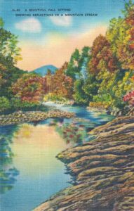 Vintage Postcard A Beautiful Fall Setting Showing Reflections in a Mountain Stream