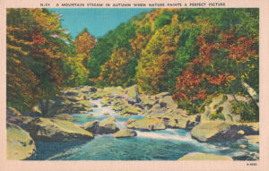 Vintage Postcard A Mountain Stream in Autumn When Nature Paints a Perfect Picture