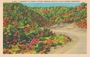 Vintage Postcard A Roadway in Golden Autumn Showing Beautiful Mutlicolored Mountains