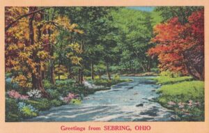 Vintage Postcard Greetings From Sebring OH