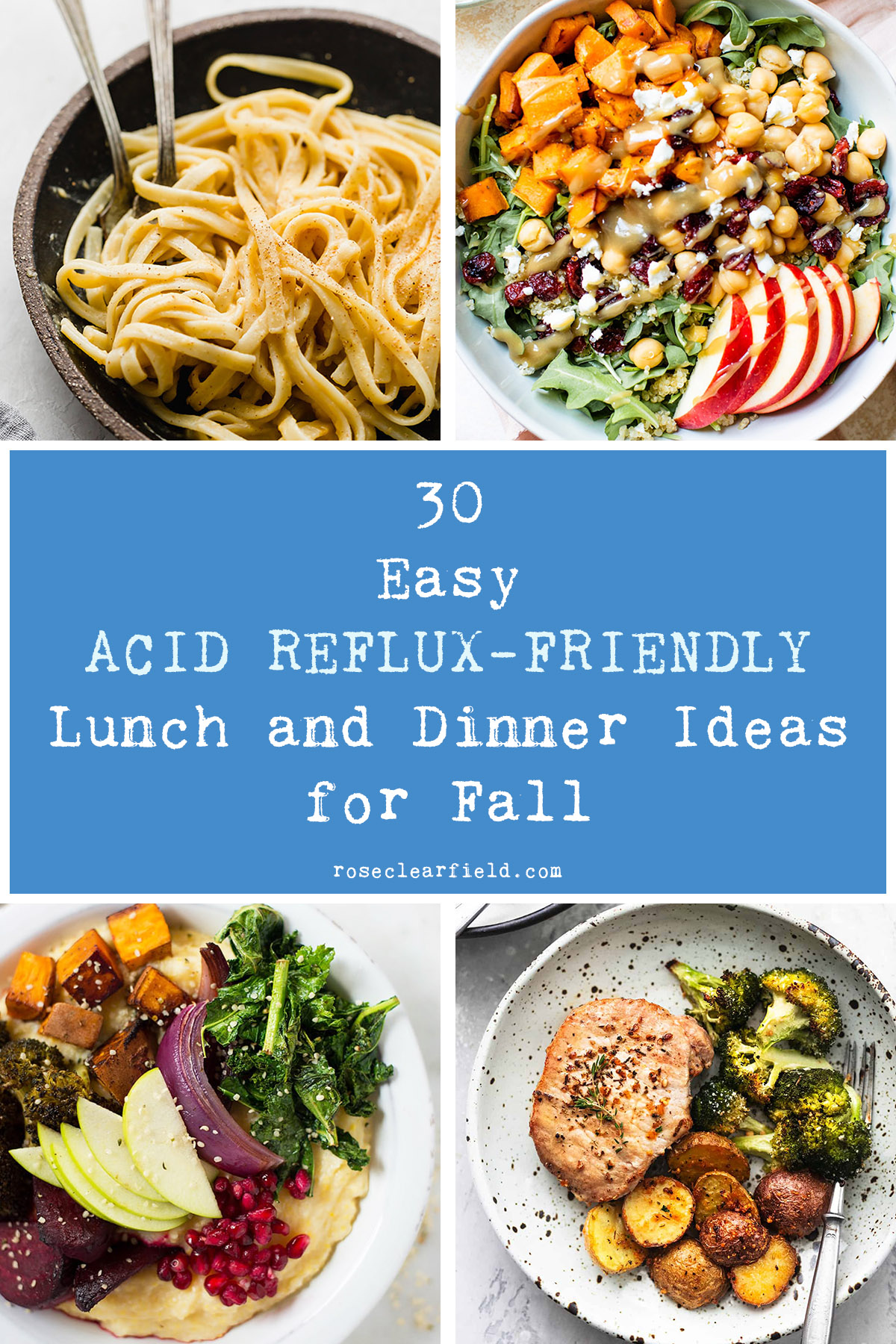 30 Easy Acid Reflux Friendly Lunch And Dinner Ideas For Fall Rose 