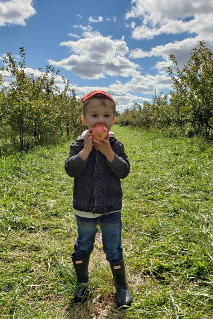 Apple Holler