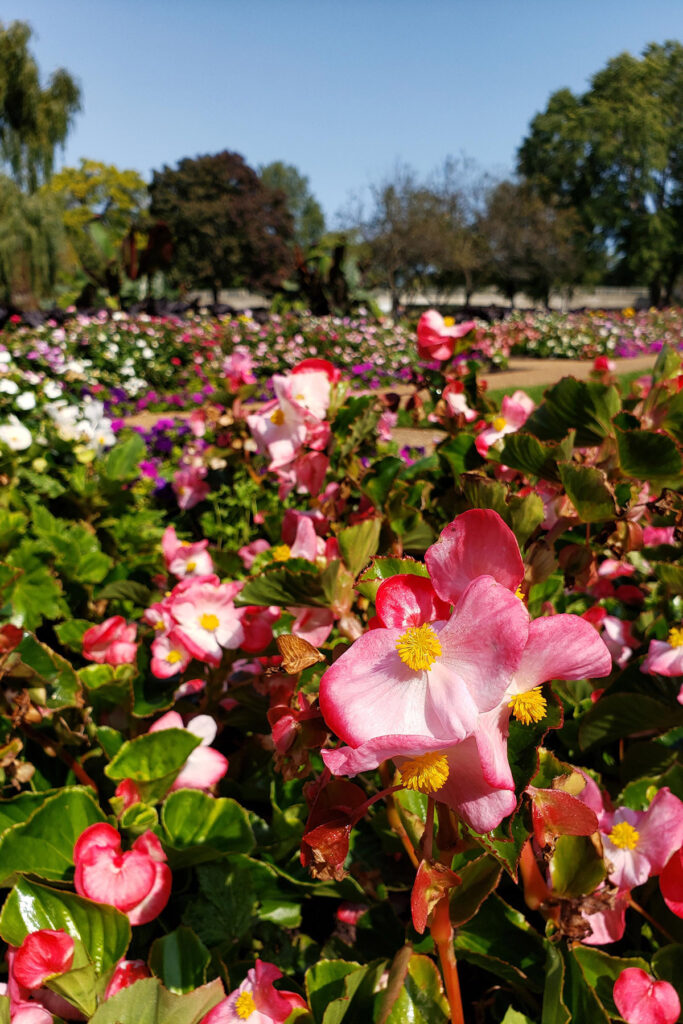 Lincoln Park, Kenosha, WI