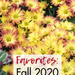 Favorites Fall 2020