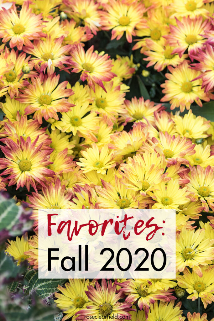 Favorites Fall 2020