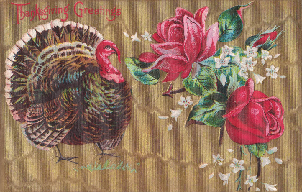 Free Printable Vintage Thanksgiving Postcards • Rose Clearfield