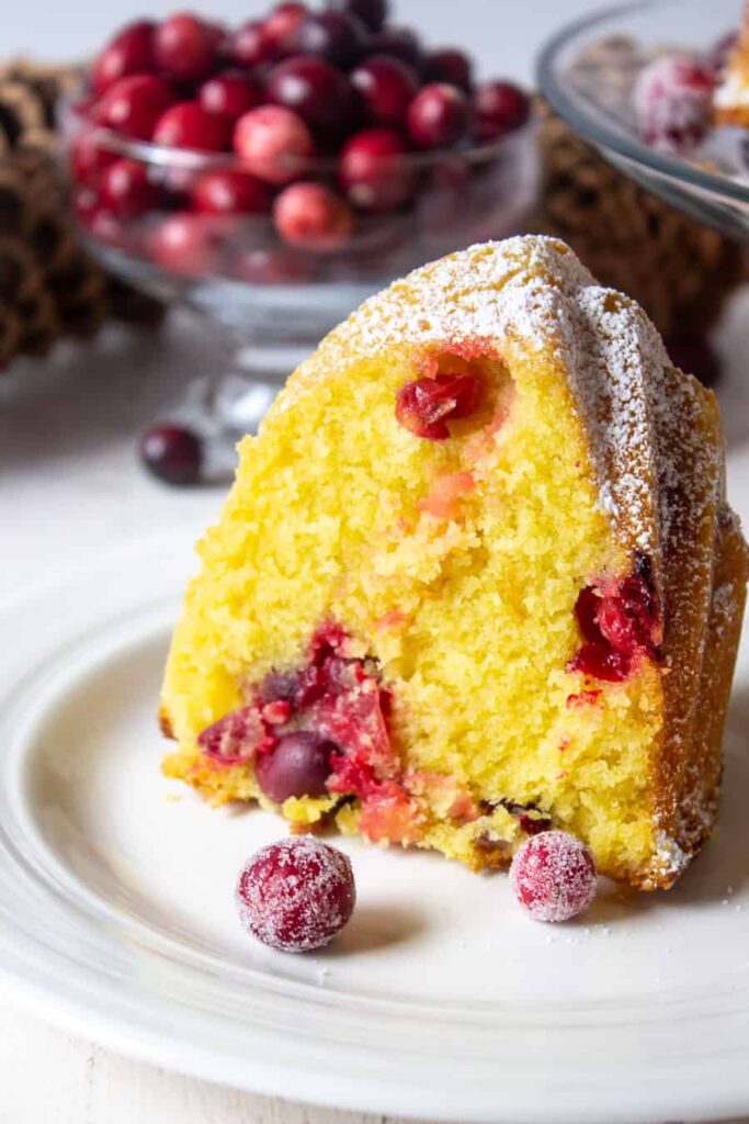 Cranberry Bundt Cake Beyond the Chicken Coop