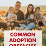 Common Adoption Obstacles and How to Overcome Them