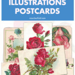 A Collection of 8 Free Printable Vintage Rose Illustrations Postcards