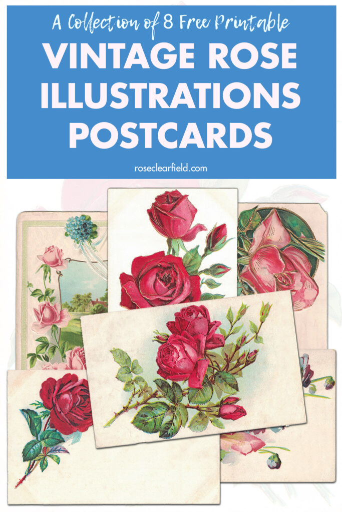 A Collection of 8 Free Printable Vintage Rose Illustrations Postcards