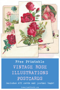 Free Printable Vintage Rose Illustrations Postcards