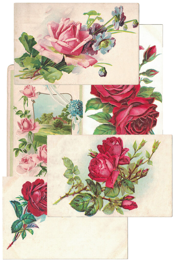 Vintage Postcards Roses Collage