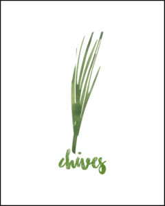 Chives With Text