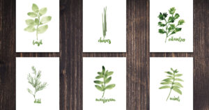 Free Printable Watercolor Herbs Wall Art