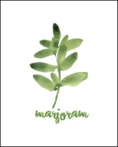 Marjoram With Text