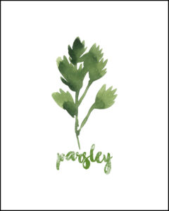 Parsley With Text