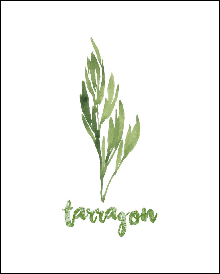 Free Printable Watercolor Herbs Art • Rose Clearfield