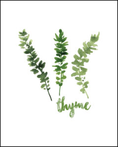 Thyme With Text