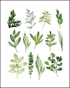 Watercolor Herbs Collage