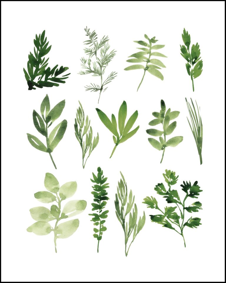 Free Printable Watercolor Herbs Art • Rose Clearfield