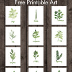 Watercolor Herbs Free Printable Art