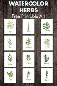 Watercolor Herbs Free Printable Art