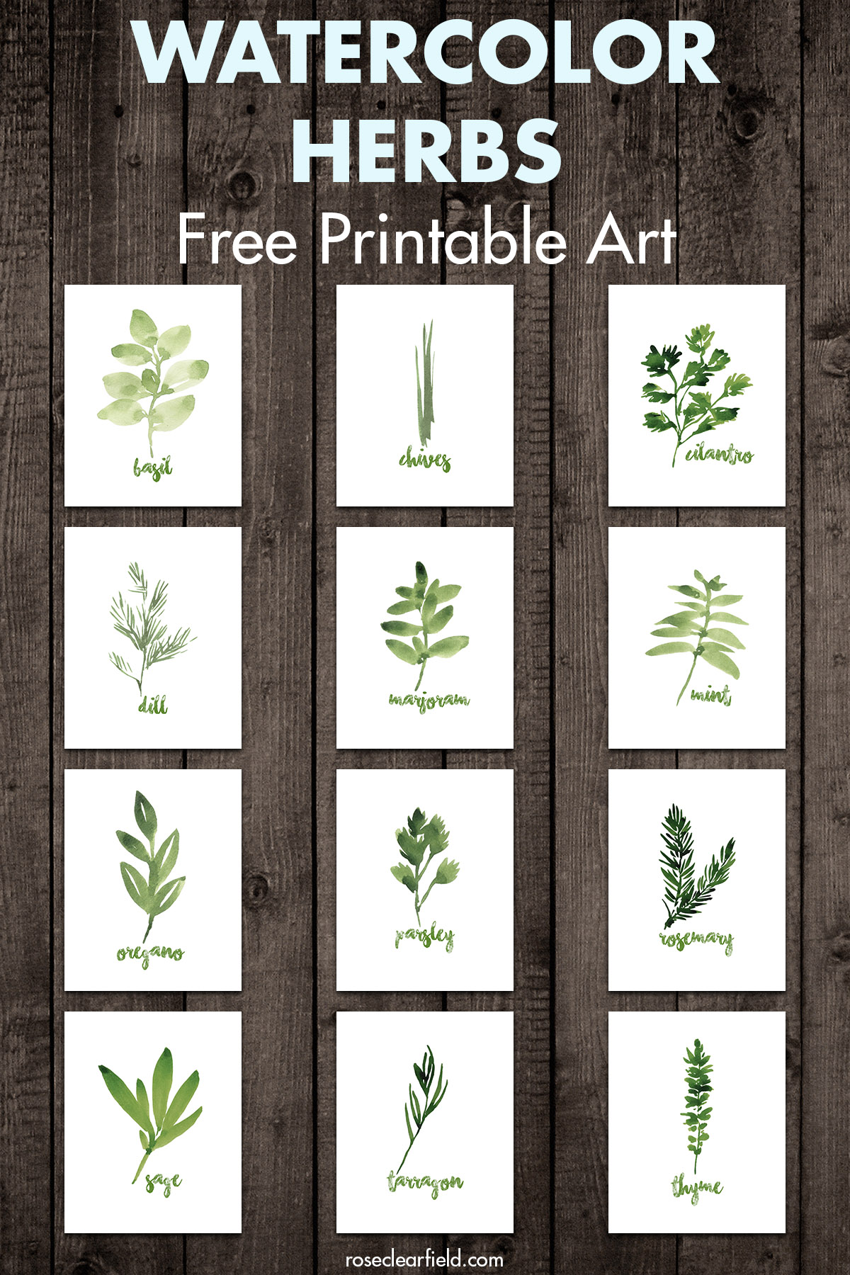 Free Printable Watercolor Herbs Art • Rose Clearfield