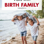 Where to Have Visits with Birth Family