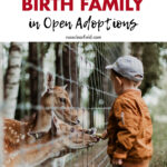 Where to Have Visits with Birth Family in Open Adoptions